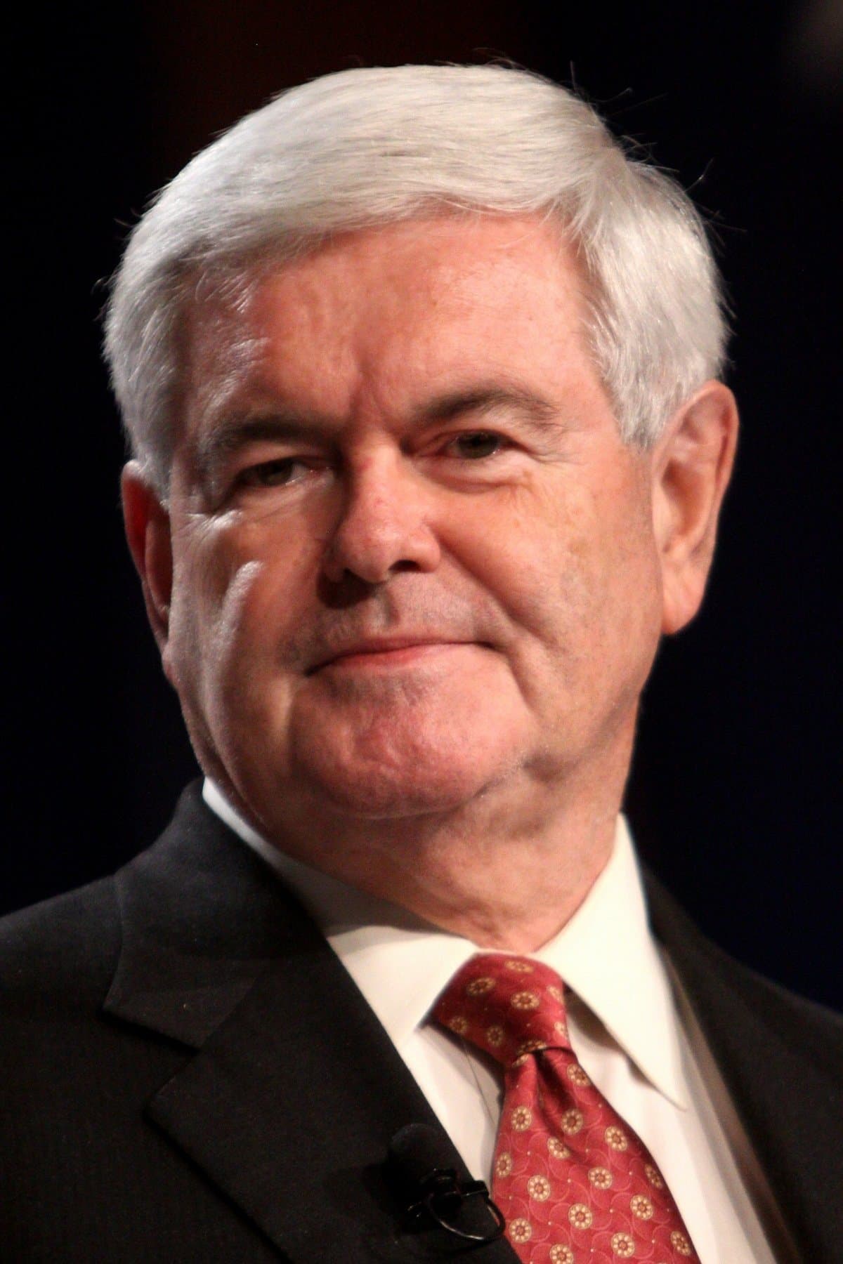 Newt Gingrich profile