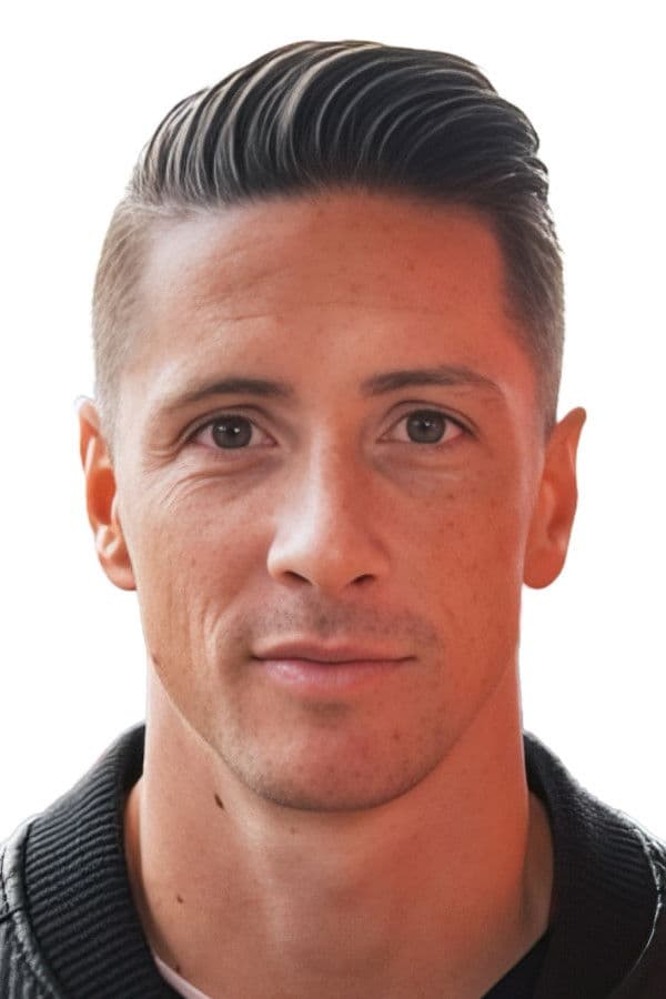 Fernando Torres profile