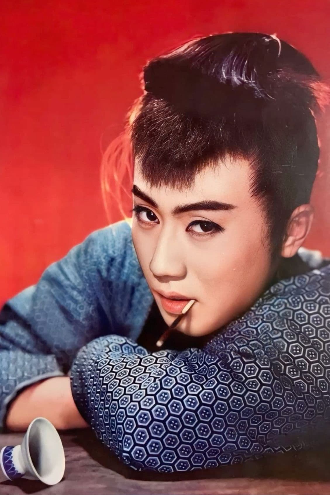 Raizō Ichikawa profile