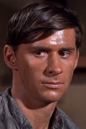 Burt Brinckerhoff profile