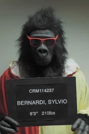 Sylvio Bernardi profile