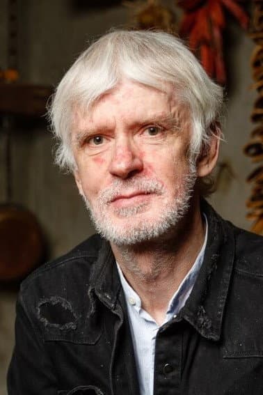 Villu Kangur profile