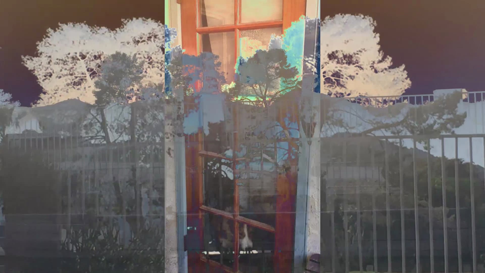 I Might Be There (I Won't) backdrop