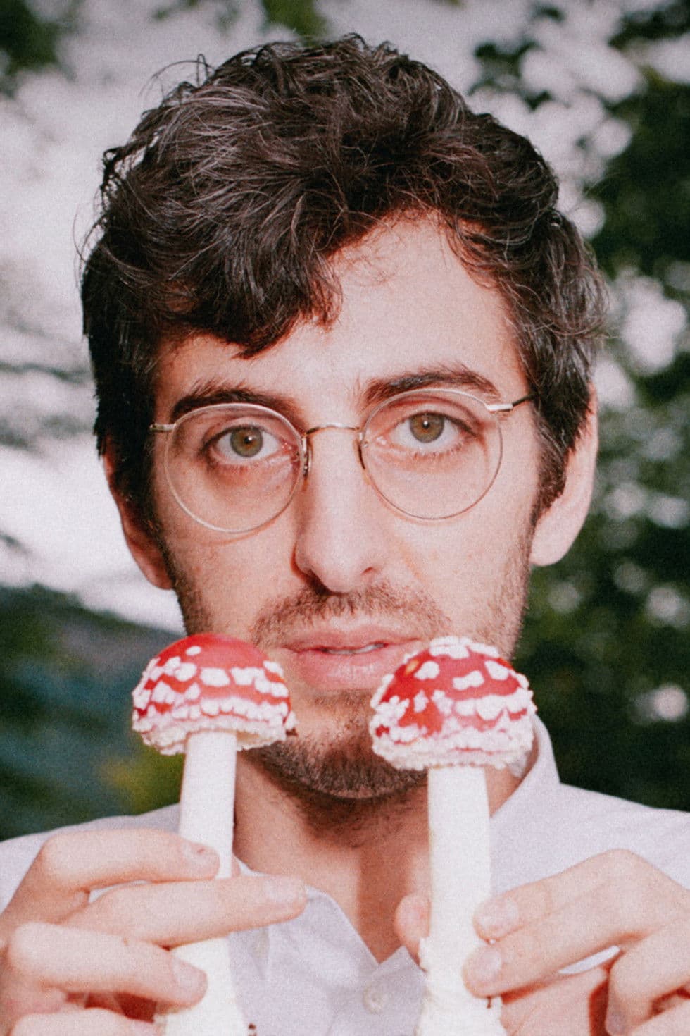 Hamilton Morris profile