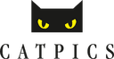 Catpics