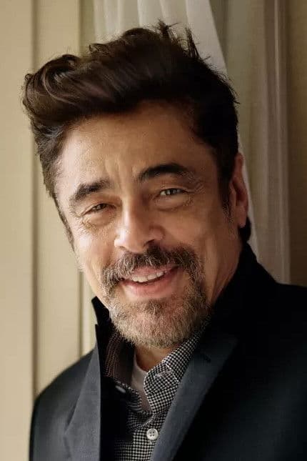 Benicio del Toro profile