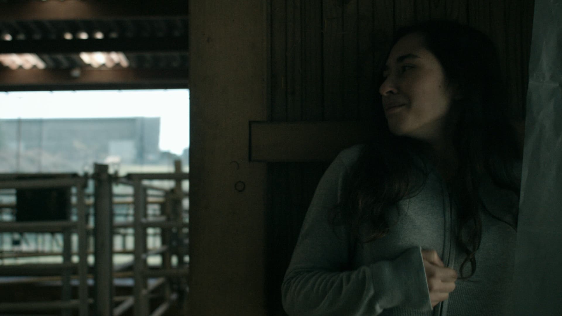 Anonymous Animals backdrop