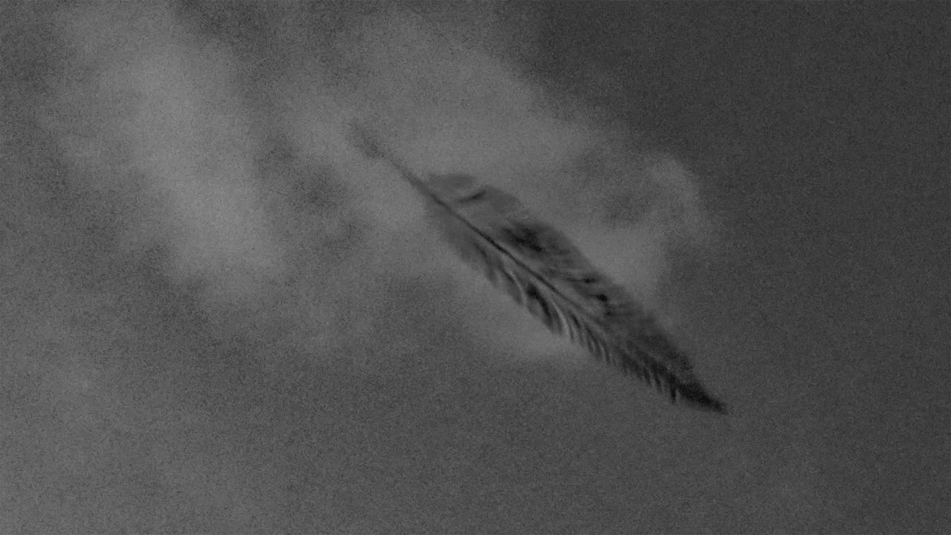 Unaddressed Letter backdrop