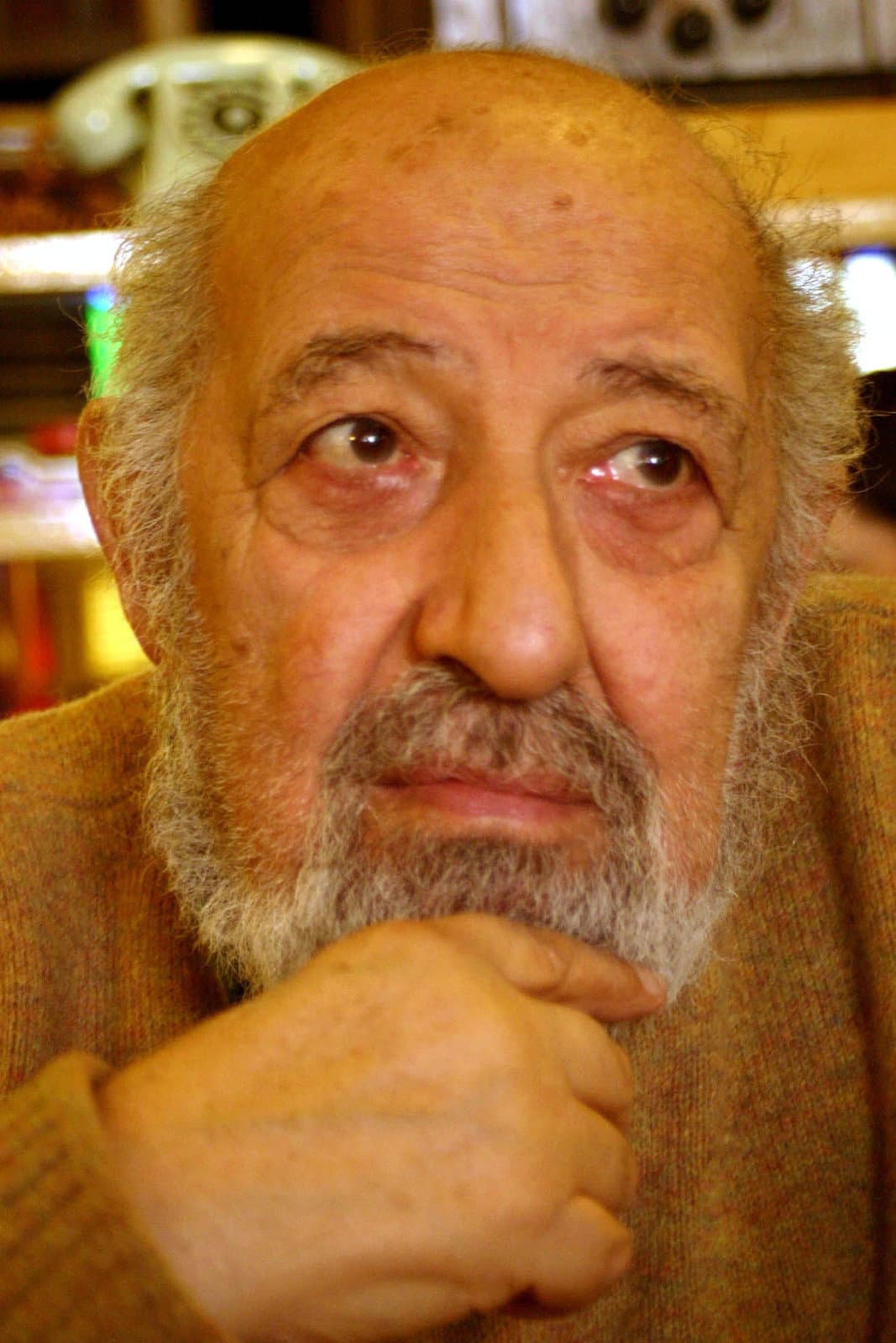 Ara Güler profile