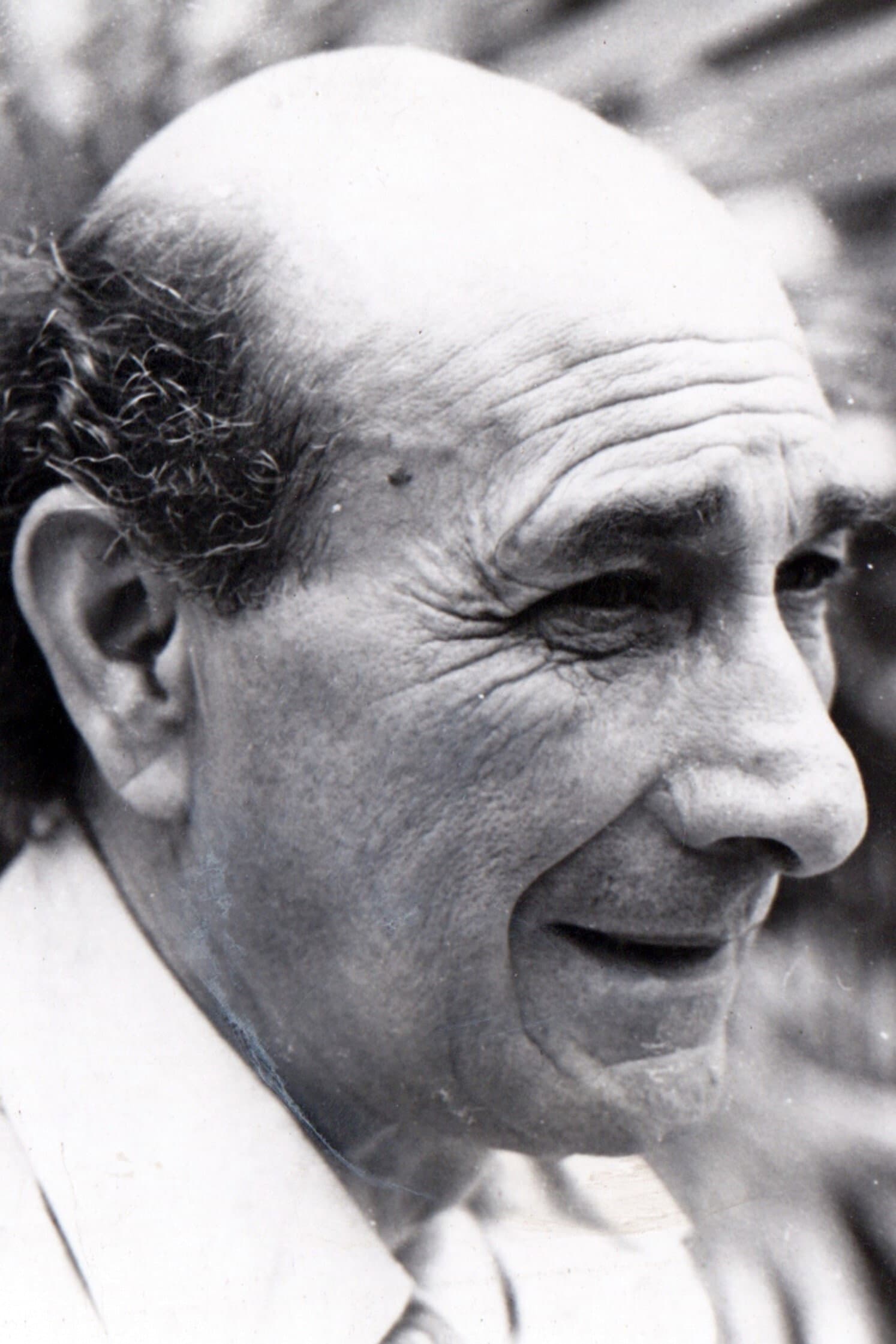 Luis Cornejo profile