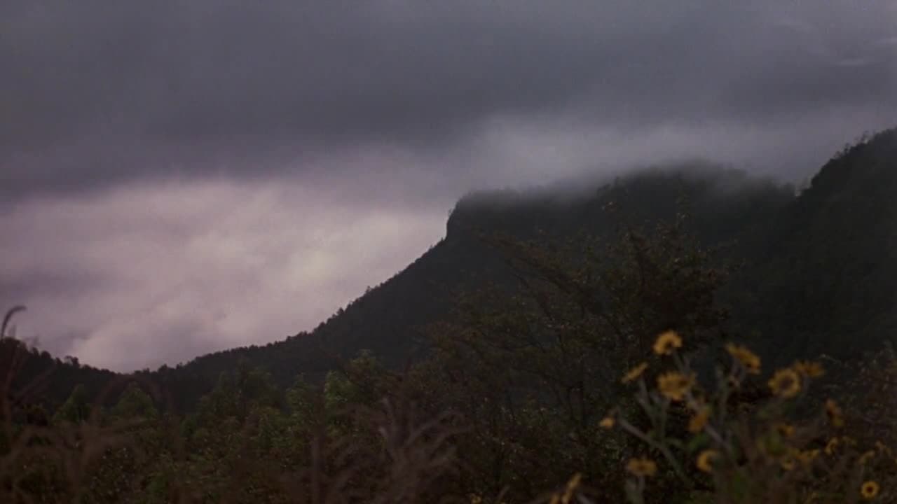 Fistful of Feathers backdrop