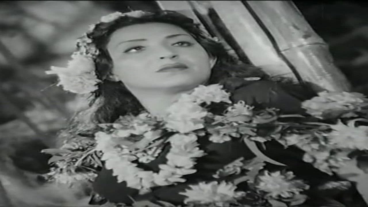 Valley of stars backdrop