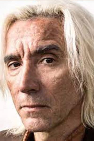 Nelson Diniz profile