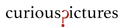 Curious Pictures