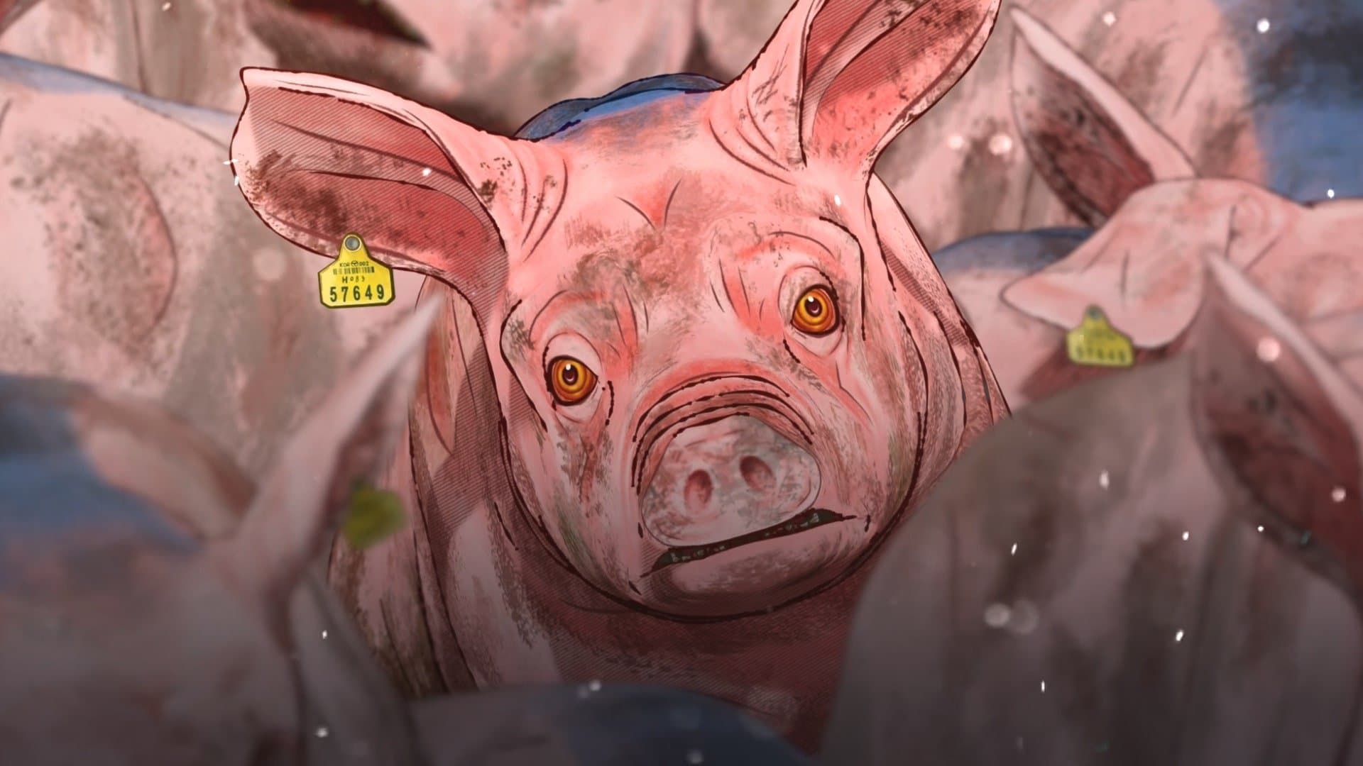 Pig That Survived Foot-and-Mouth Disease backdrop