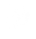 Northern Sheep Cinema