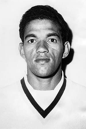 Garrincha profile