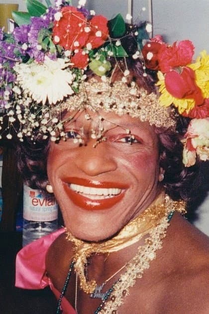 Marsha P. Johnson profile