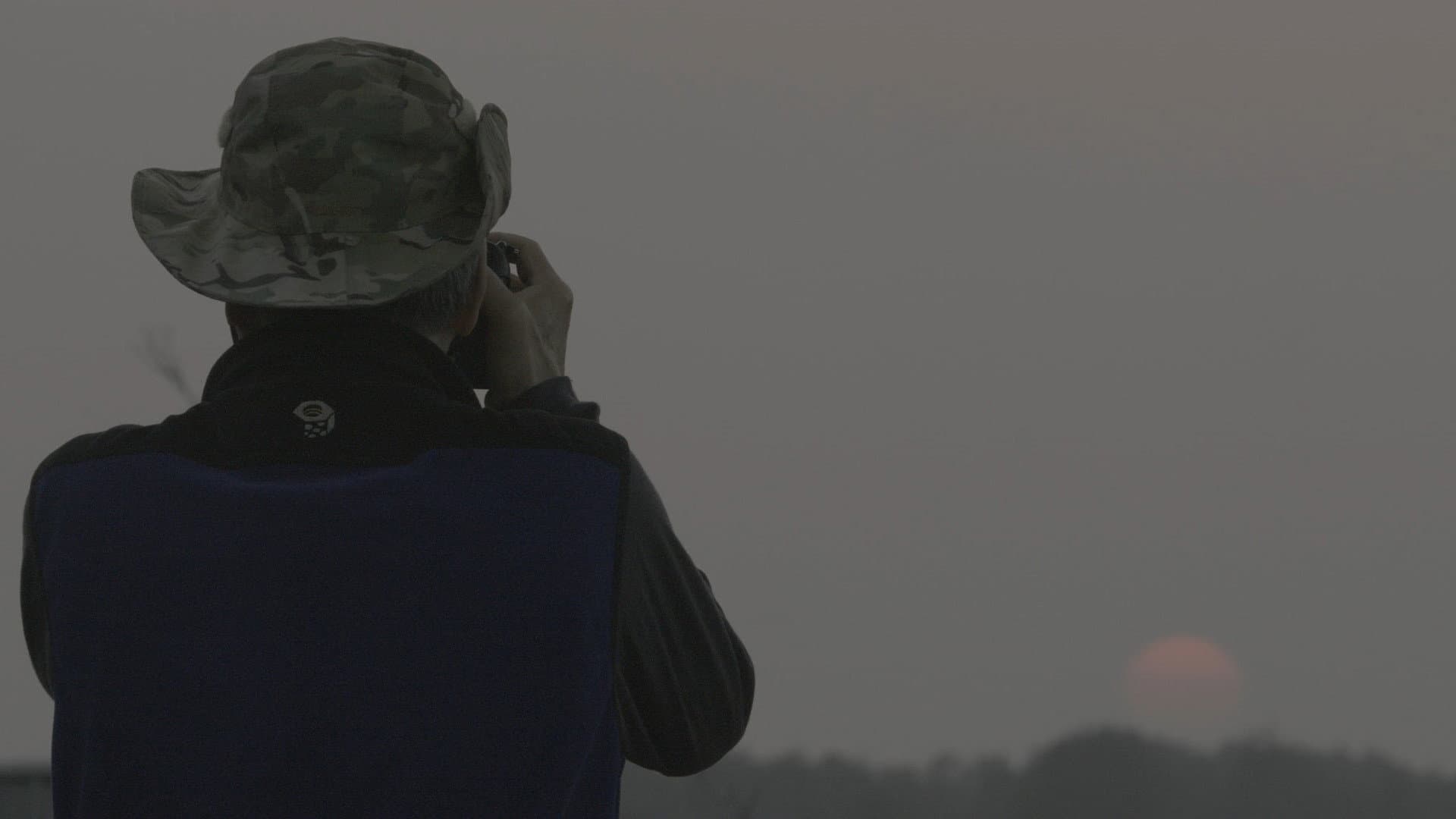 Seven Ages of A Man backdrop