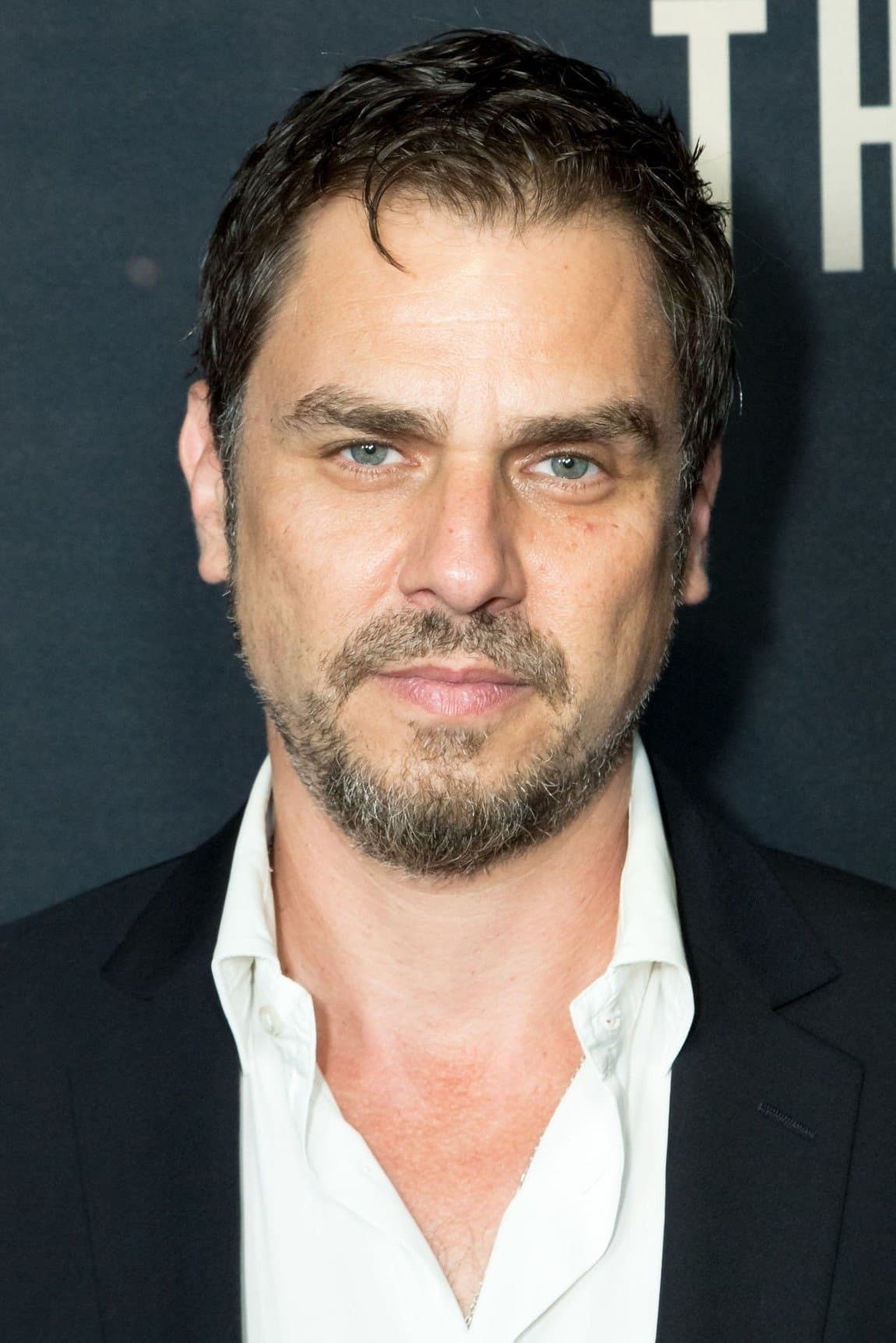 Ariel Vromen profile