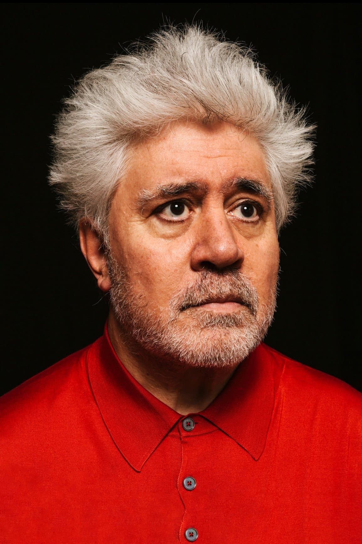 Pedro Almodóvar profile