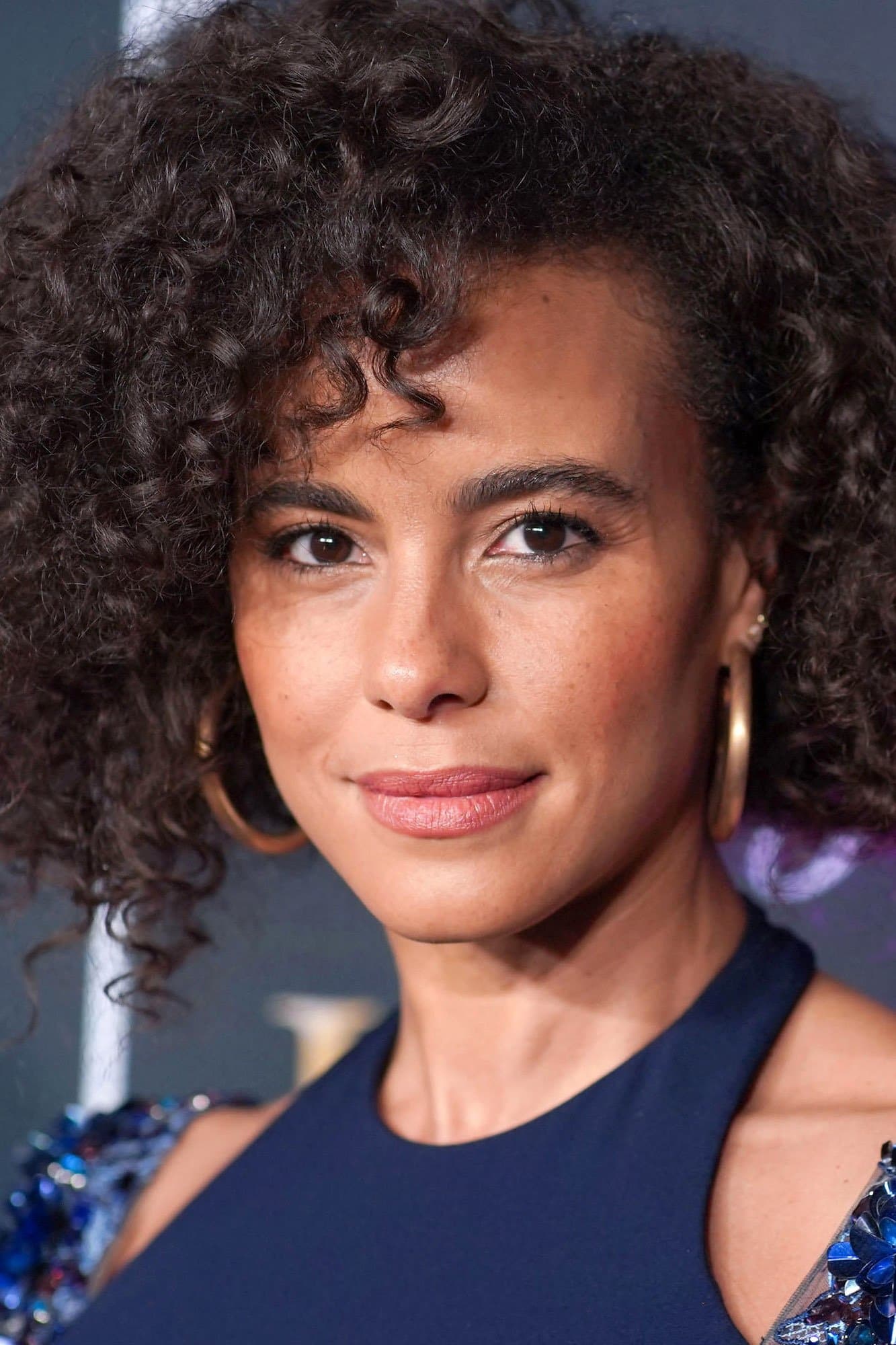 Parisa Fitz-Henley profile