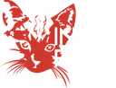 Indie Film AS