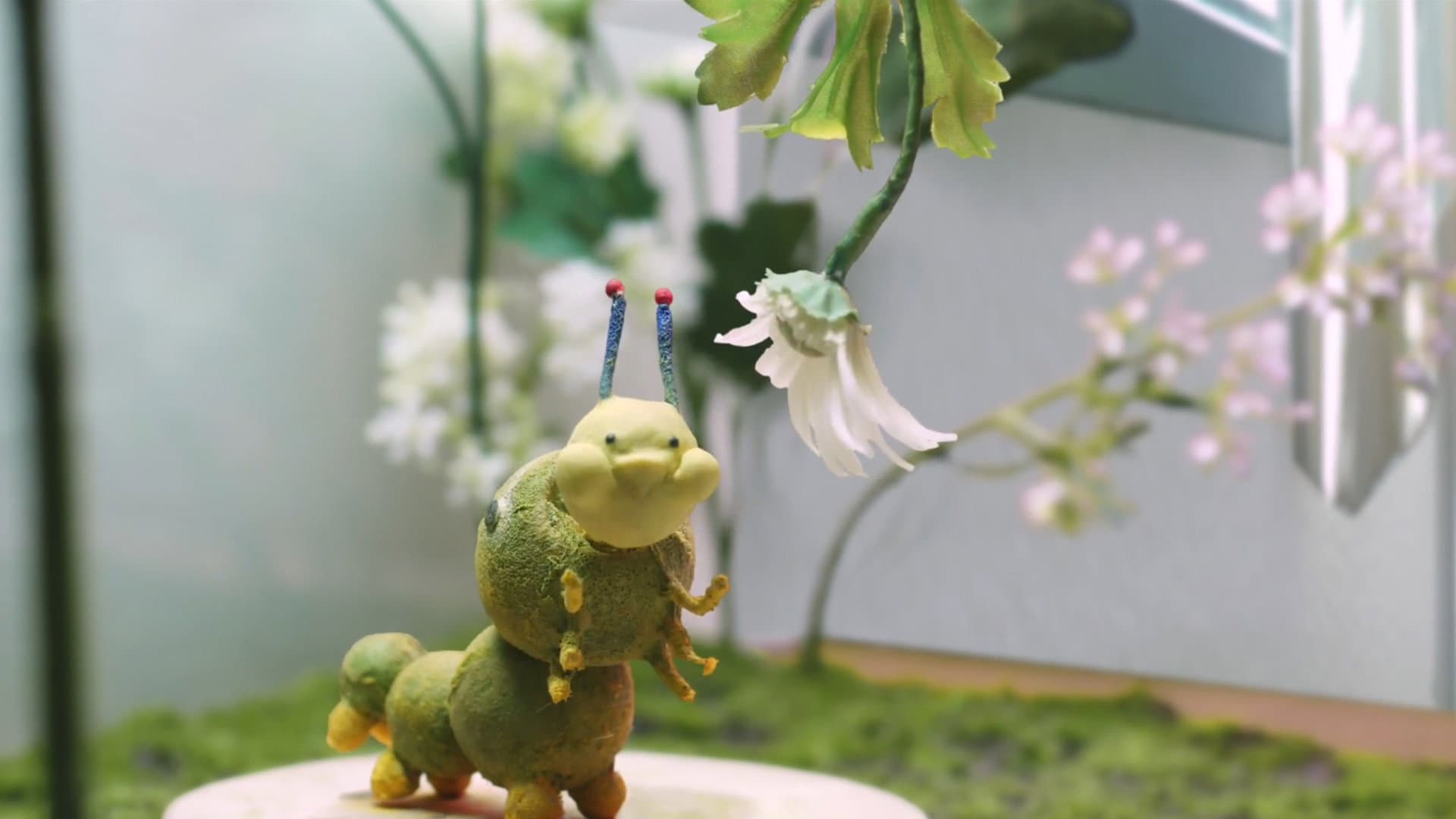 Live or Let Live backdrop