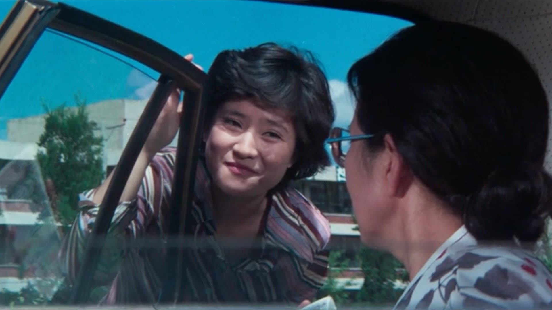 Bush and Swamp backdrop