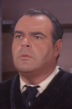 Bern Hoffman profile