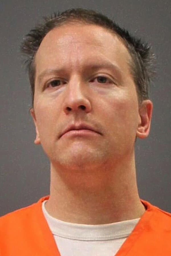 Derek Chauvin profile