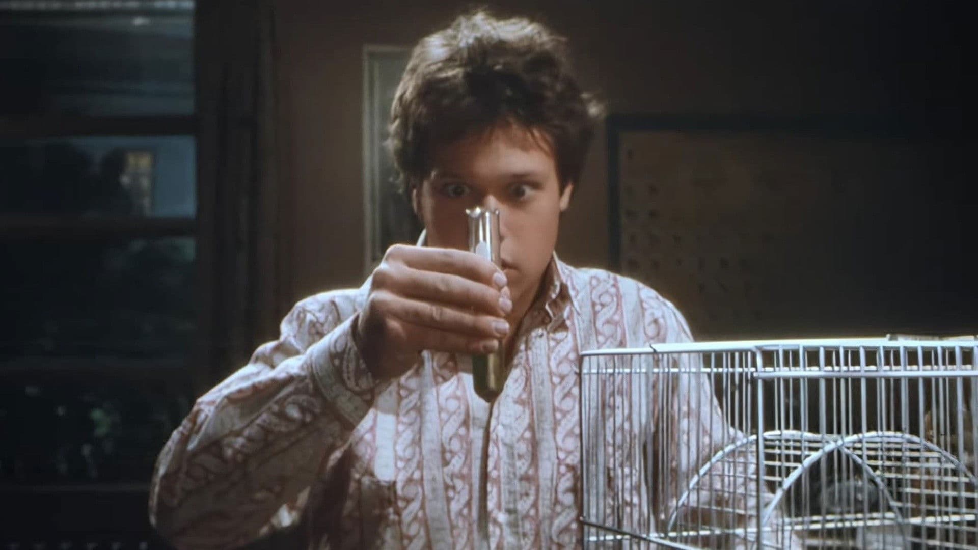 The Invisible Kid backdrop