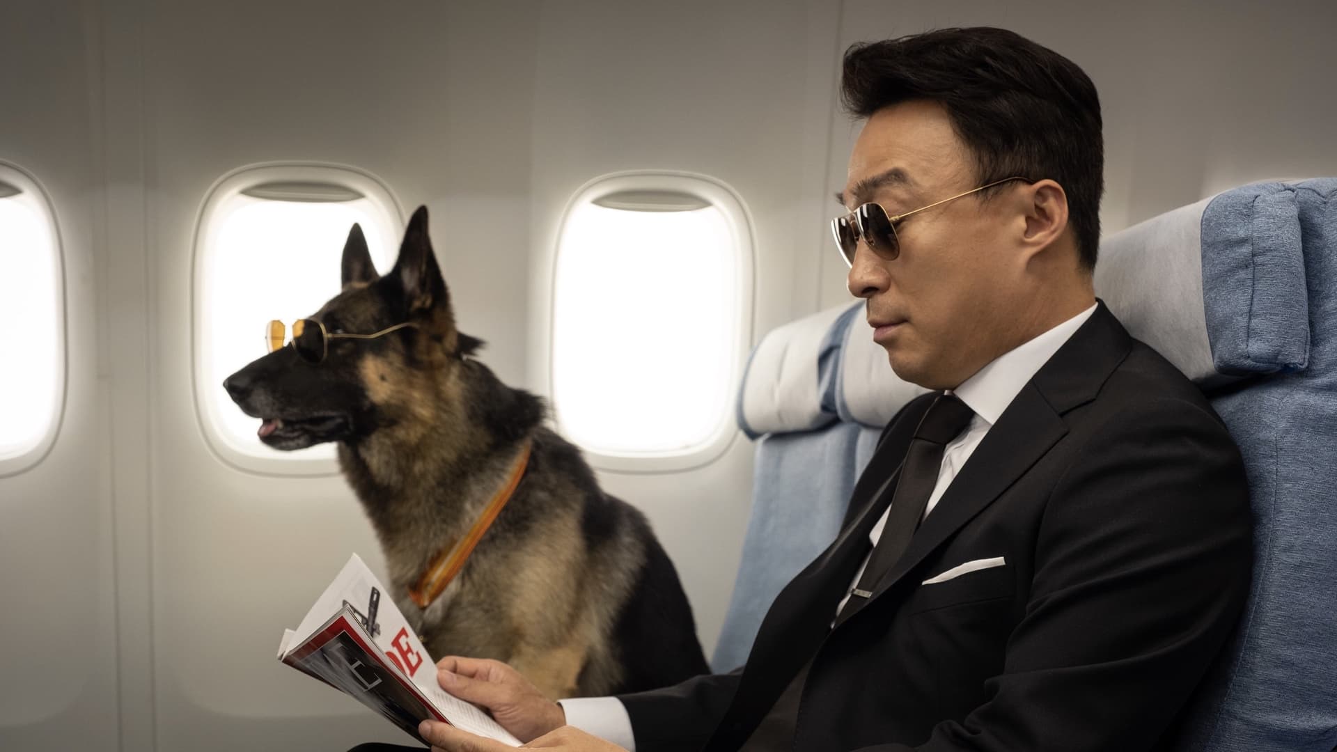 Mr. Zoo: The Missing VIP backdrop