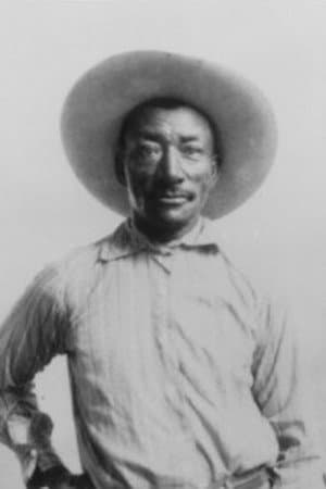 Bill Pickett profile