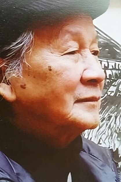 Ngô Xuân Hoằng profile