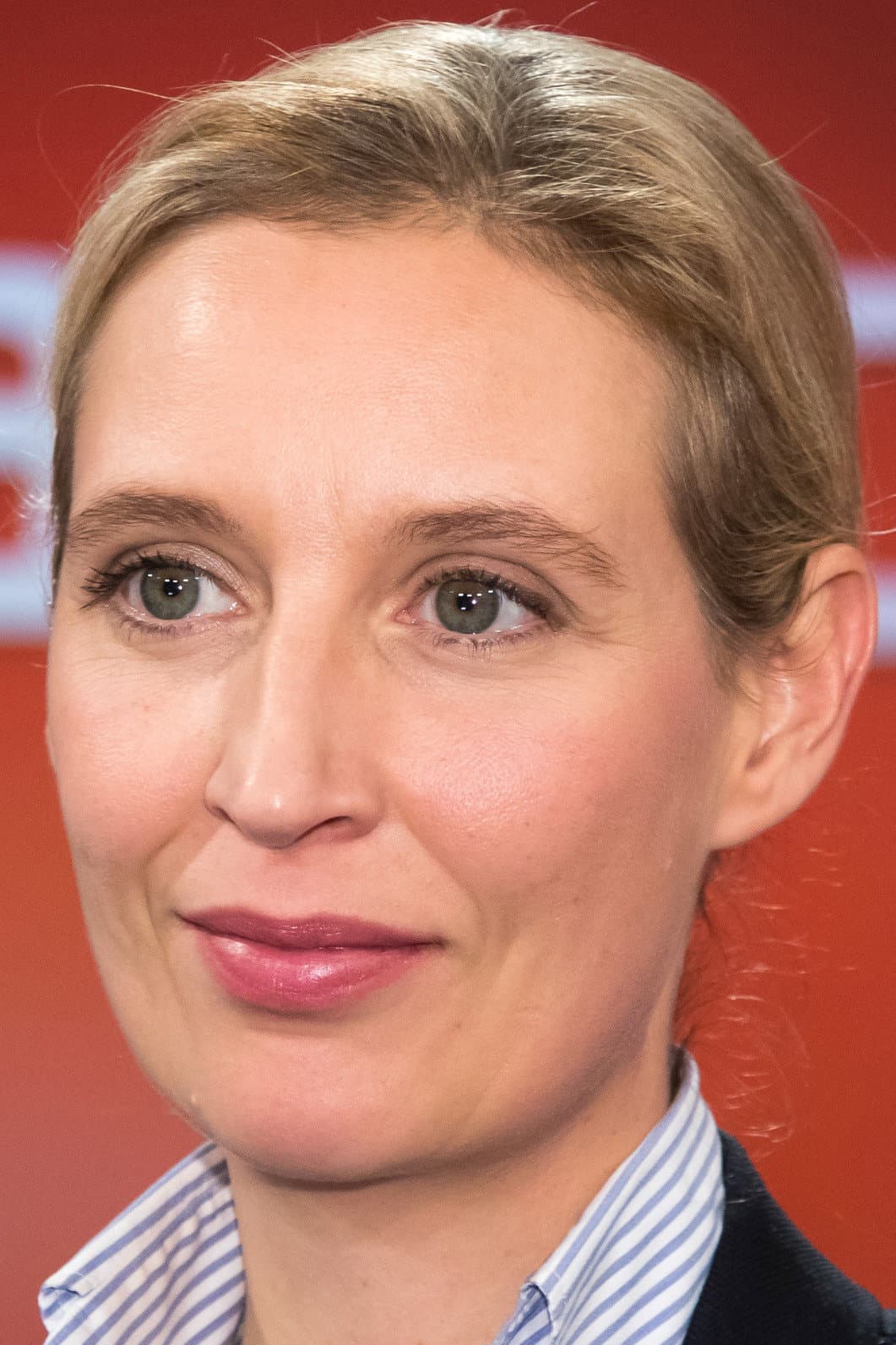 Alice Weidel profile