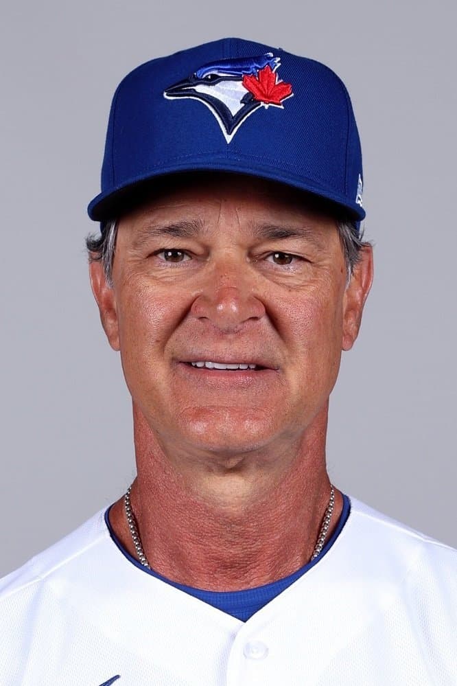 Don Mattingly profile