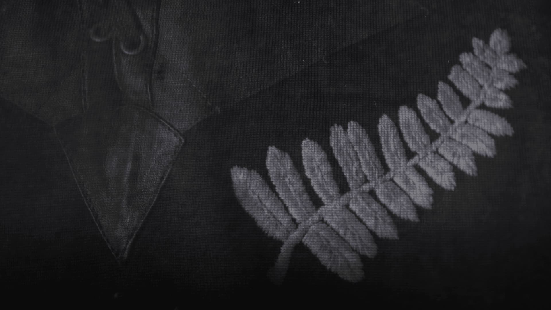 All Blacks at War backdrop