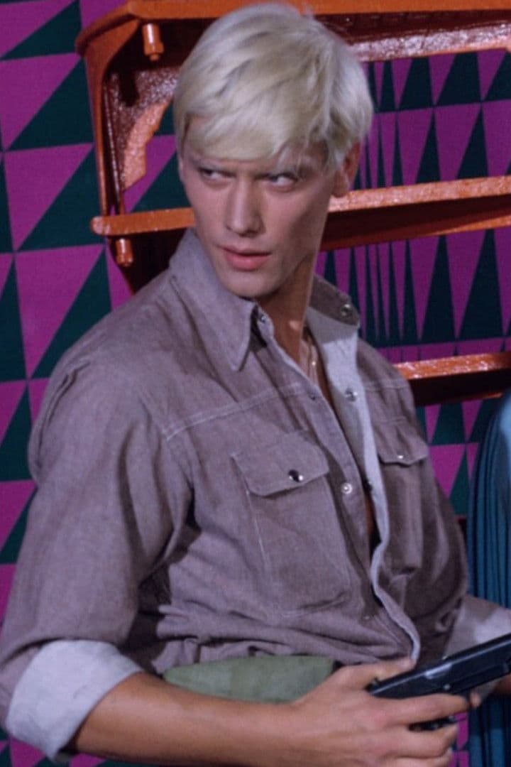 Wolfgang Hillinger profile