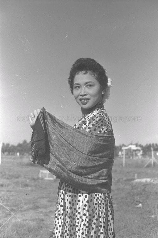 Siput Sarawak profile