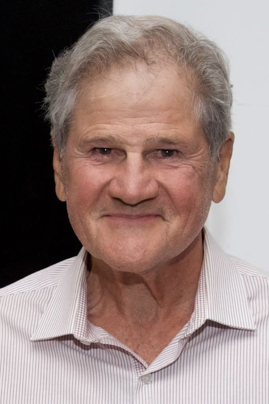 Stephen Mendillo profile