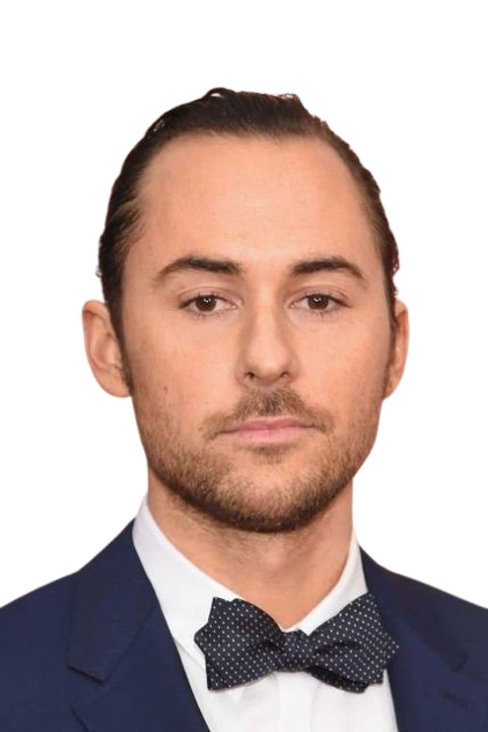 Lee Toland Krieger profile