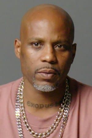 DMX profile