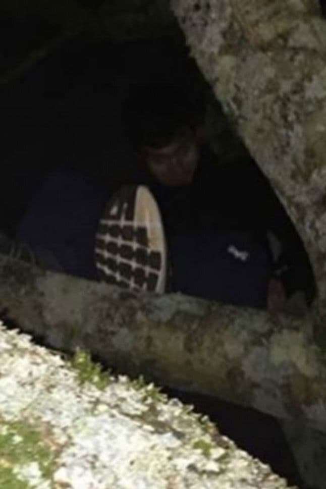 Cathal Murphy profile