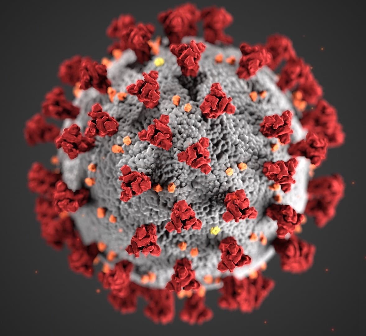 Coronavirus