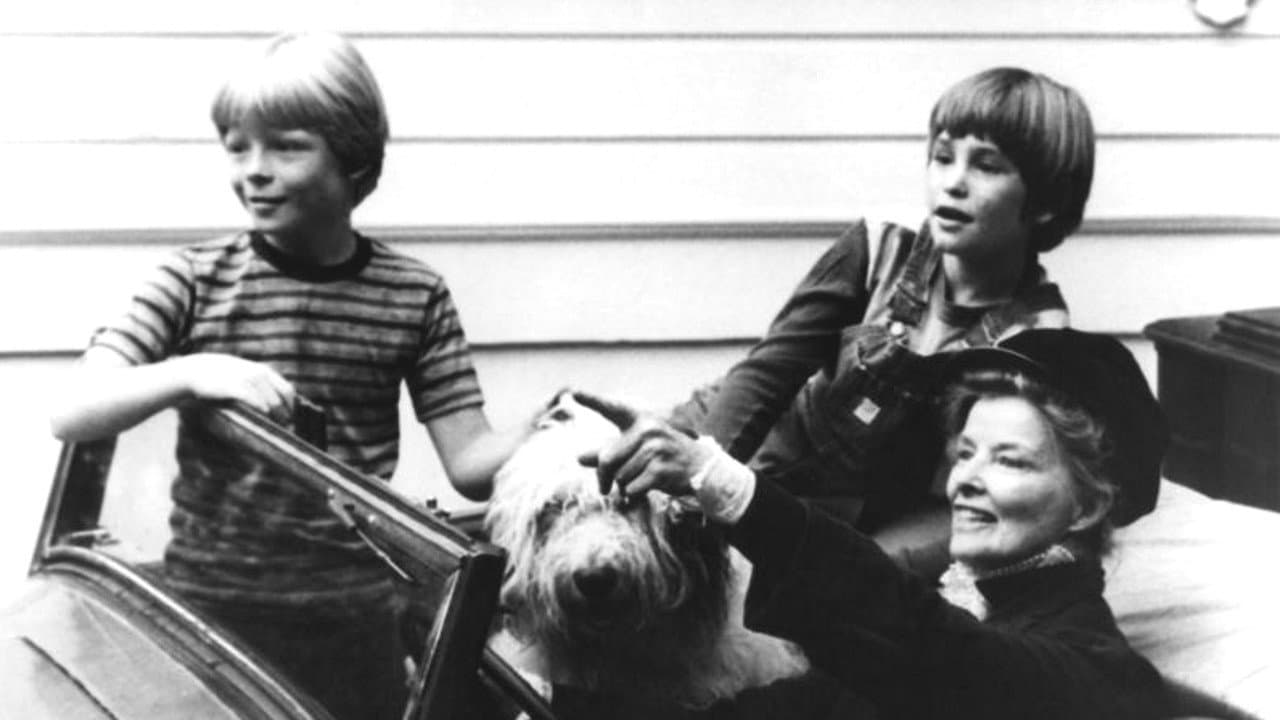 Olly Olly Oxen Free backdrop