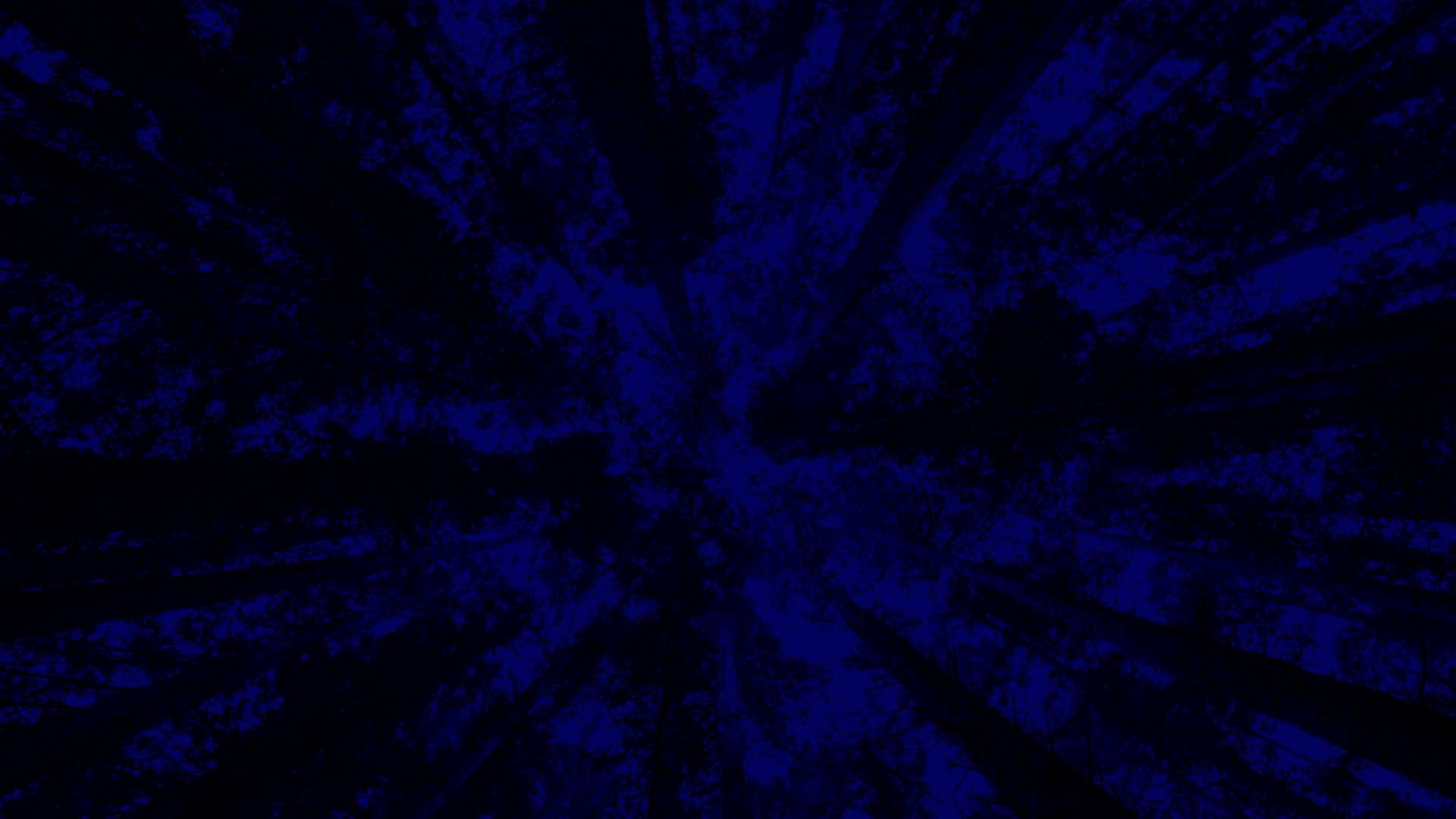 New York City Opera: A Little Night Music backdrop