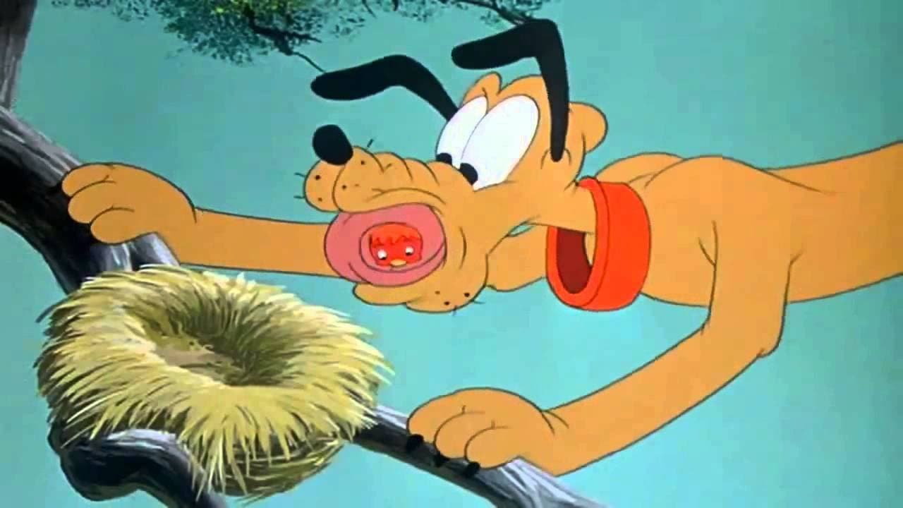 Pluto's Fledgling backdrop