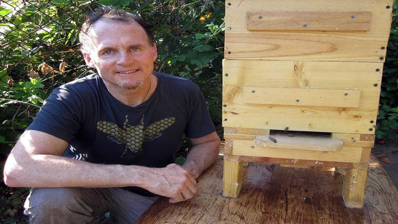 Queen of the Sun: What Are the Bees Telling Us?‎ backdrop