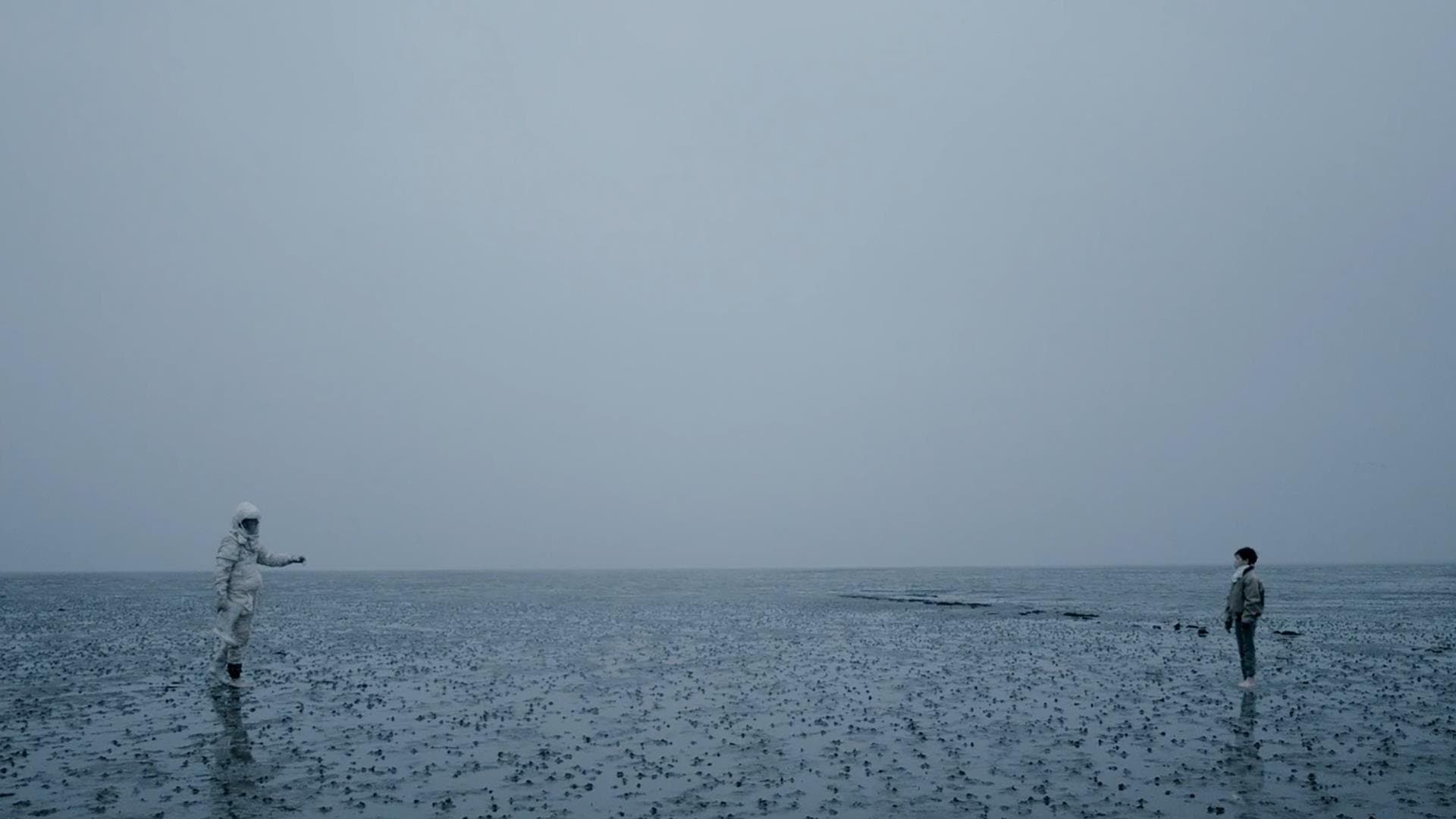 We Are The Tide backdrop